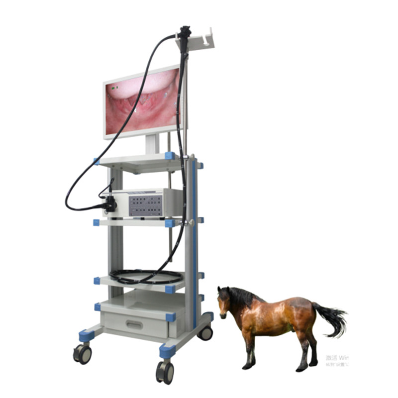 VE-400D +VED-9000 VET Trolley Video Gastroscope Endoscope-VET Trolley Video Gastroscope Endoscope