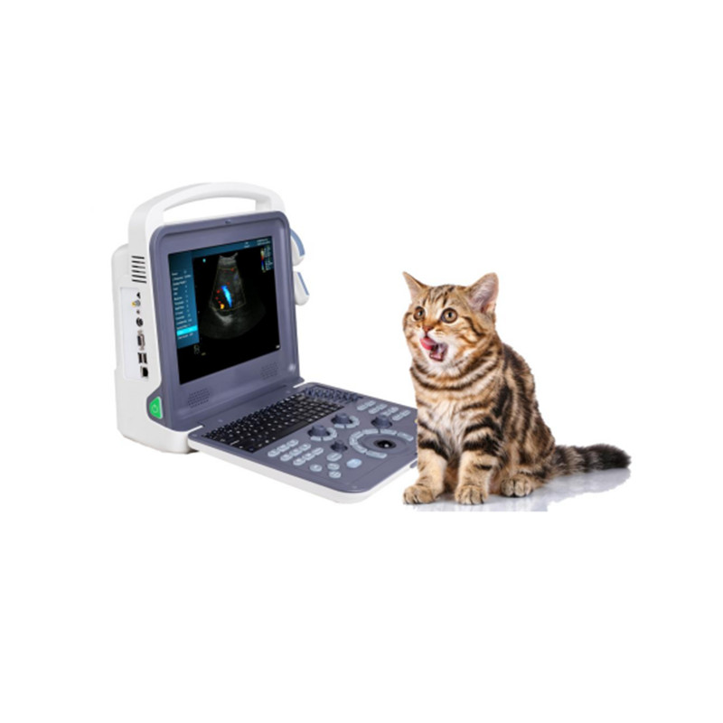 VC-12 Portable Veterinary Color Doppler Ultrasound Scanner-Portable Veterinary Color Doppler Ultrasound Scanner