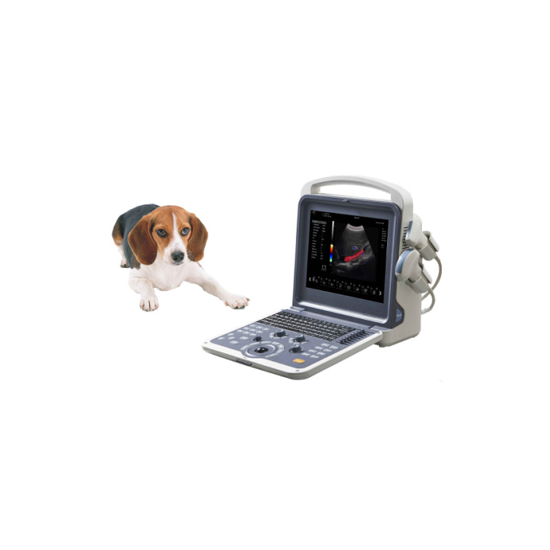 VC-14 Portable Veterinary Color Doppler Ultrasound Scanner