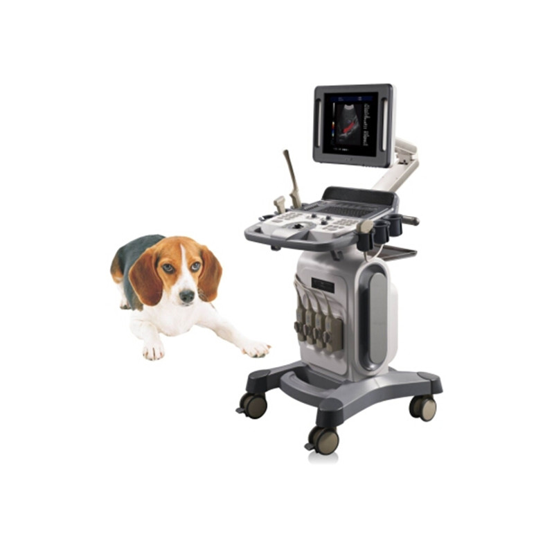 VC-16 Trolley Veterinary Color Doppler Ultrasound Scanner