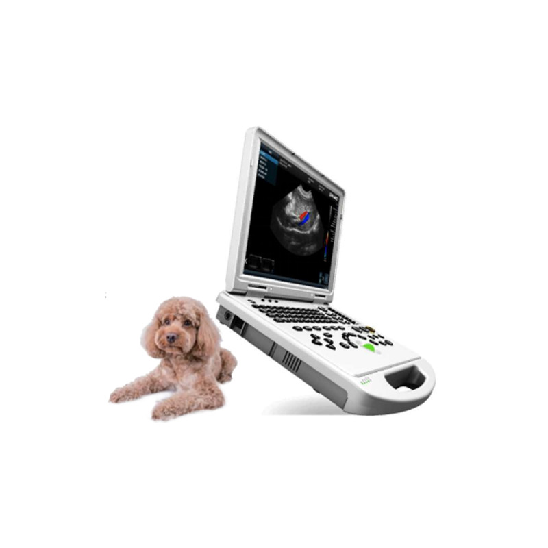 VC-6 Pro Portable Color Doppler Ultrasound Scanner-Portable Color Doppler Ultrasound Scanner