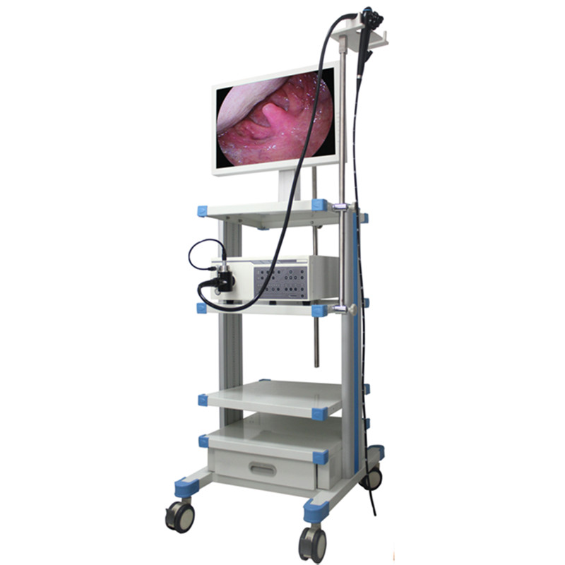 VED-9000 VET Trolley Video Gastroscope Endoscope-VET Trolley Video Gastroscope Endoscope