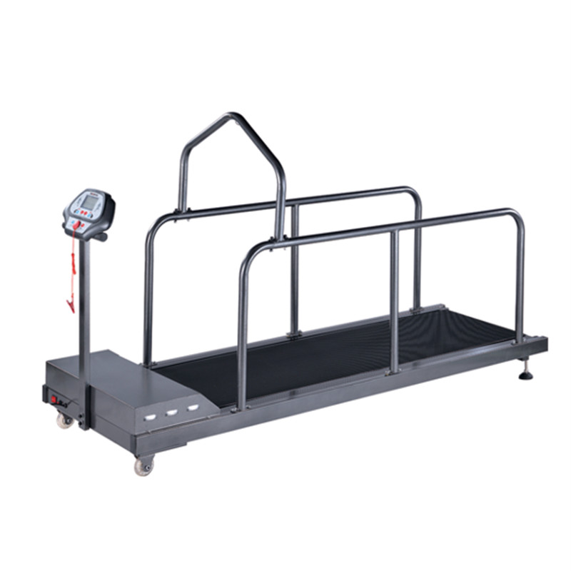 VET-C400G/C400WG Pet Treadmill ( High Speed)